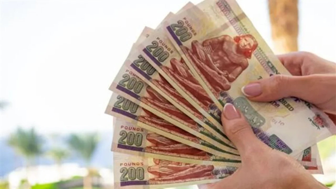 زيادة المعاشات.. موعد صرف مستحقات شهر مايو عبر موقع الهيئة القومية